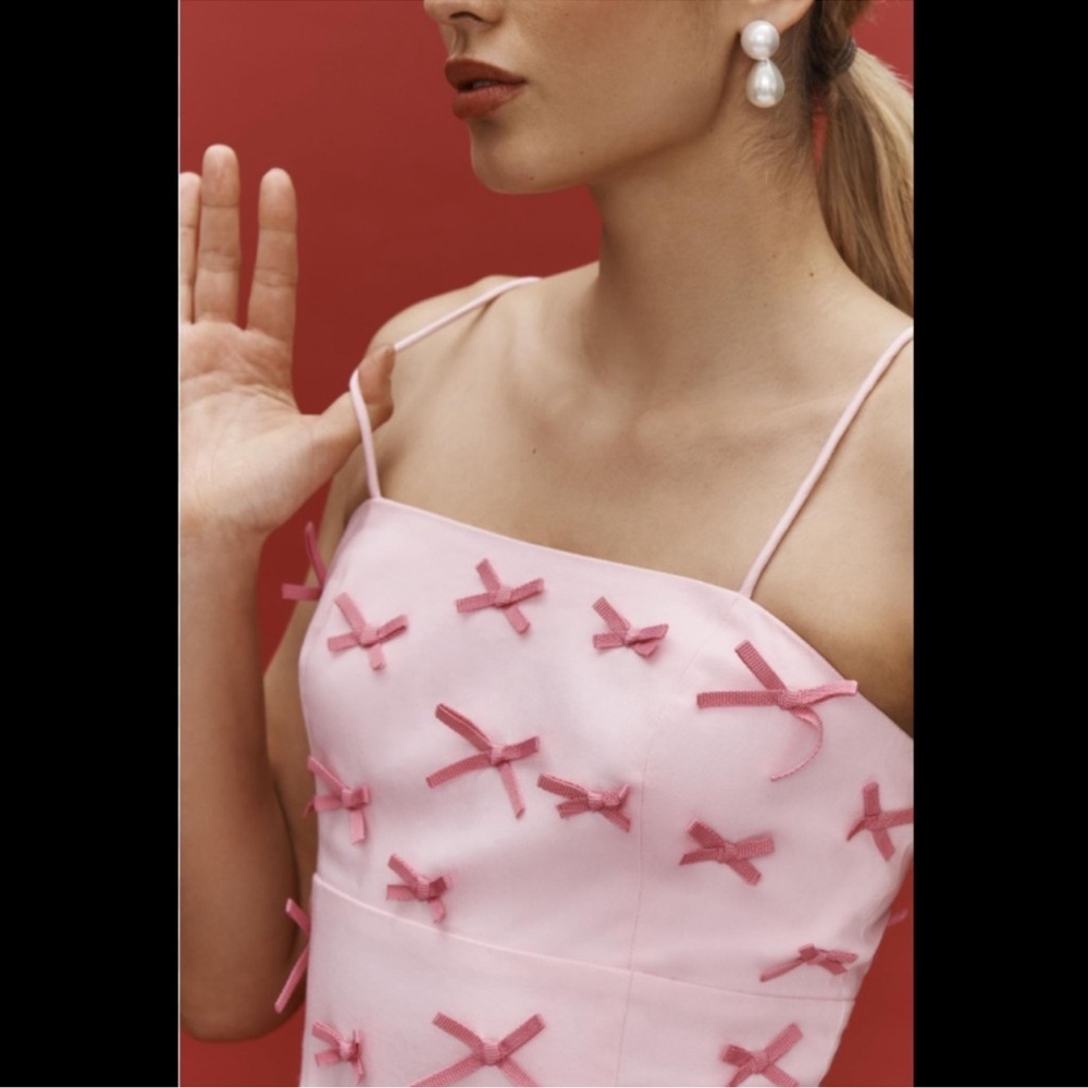 Anthropologie exclusive NWT exclusive Sz 4 or Sz 8 adorable 3D bow lined dress - Picture 10 of 16